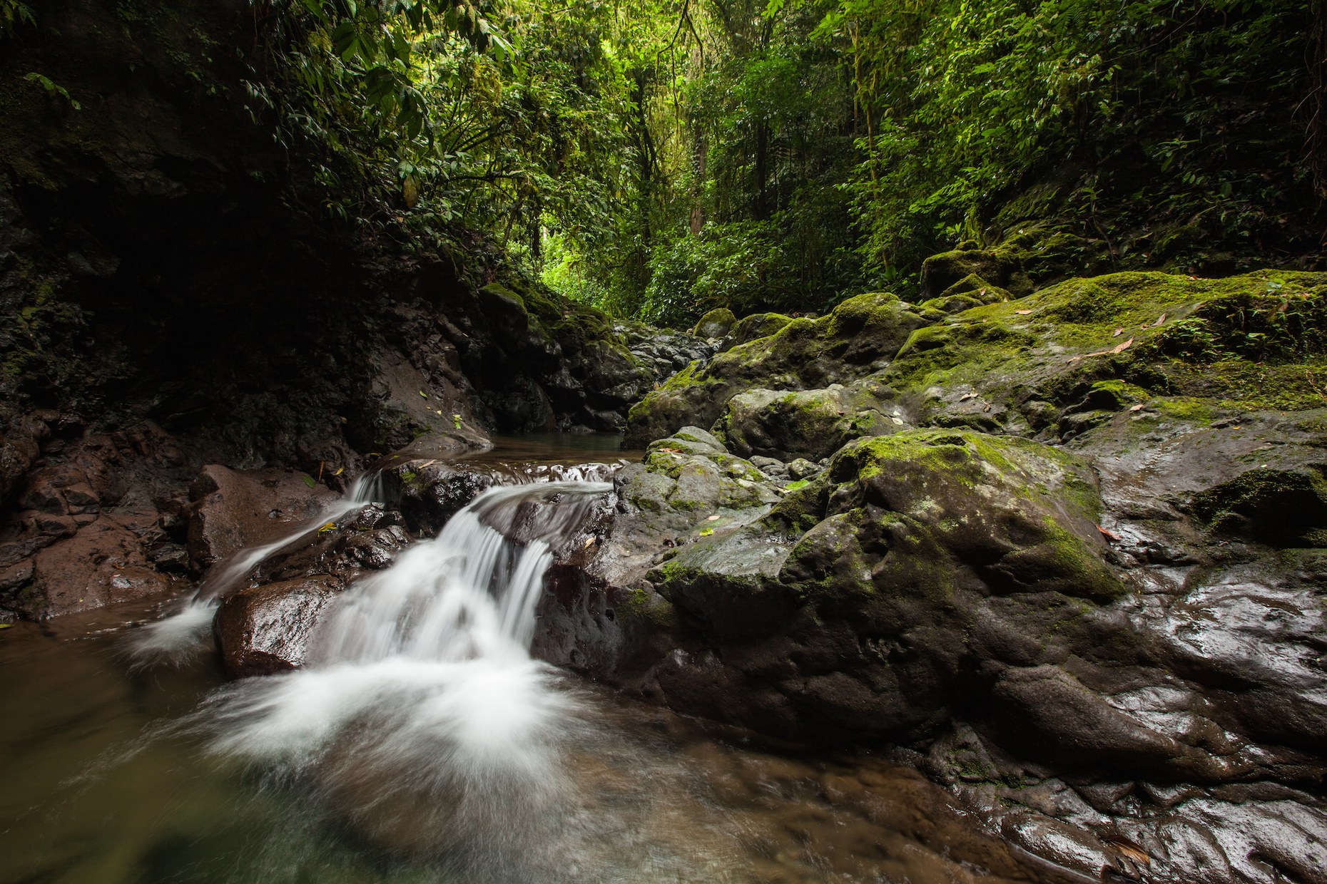 Costa Rican Stream