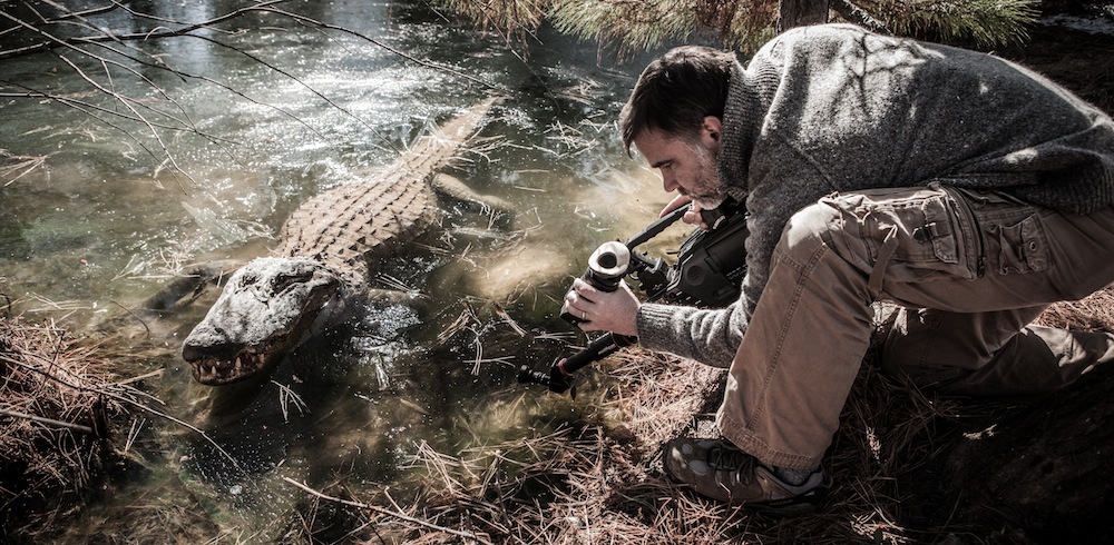 Filming Alligator Icing Response